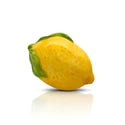 Lemon NF