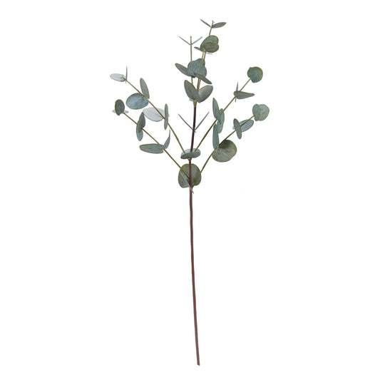Eucalyptus Green 30"